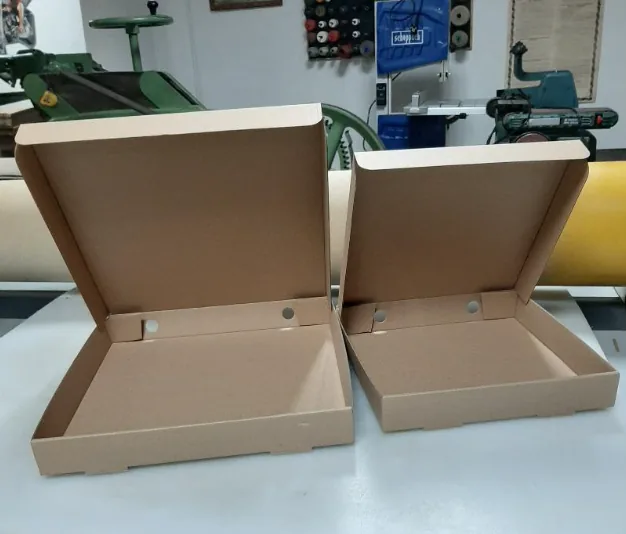 Two open corrugated mailer boxes with attached lids
